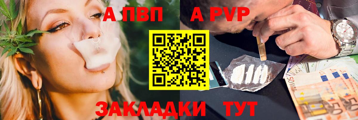 Альфа ПВП СК Саранск