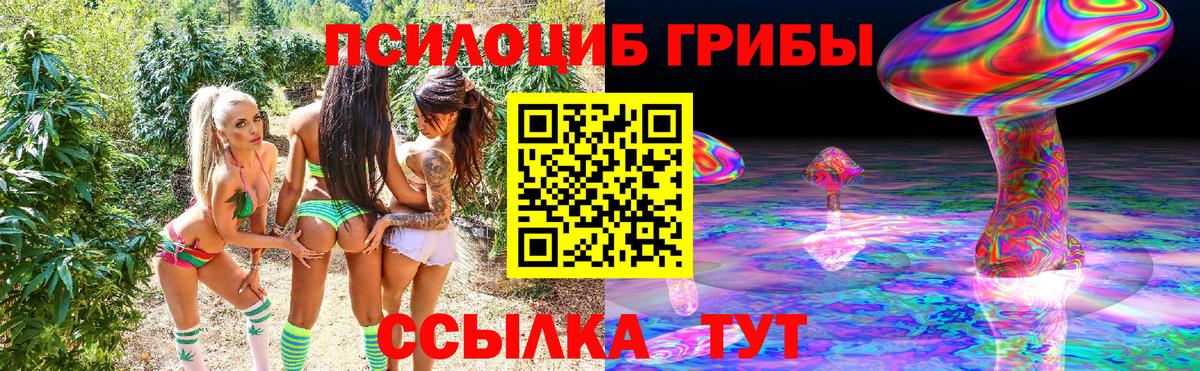 Псилоцибиновые грибы Psilocybine cubensis  Псилоцибиновые грибы GOLDEN TEACHER  Вход с VPN  Саранск 
