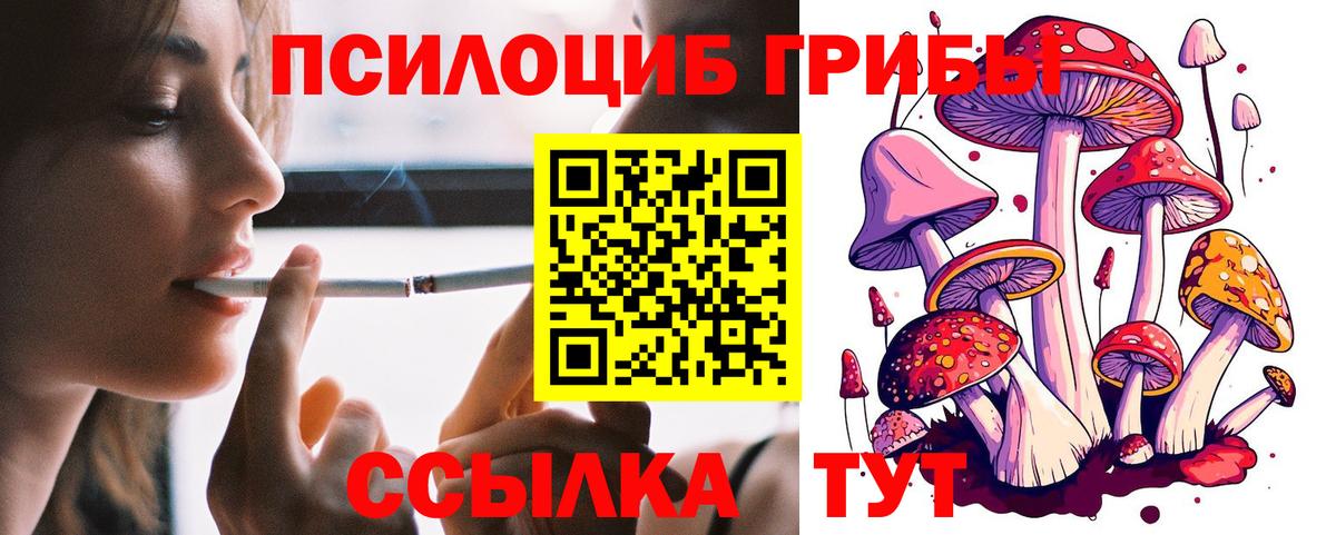 Псилоцибиновые грибы Psilocybine cubensis Саранск